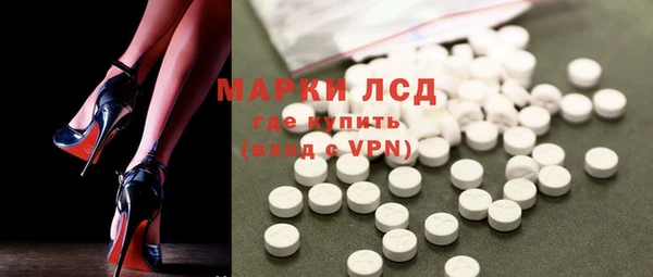 индика Нязепетровск