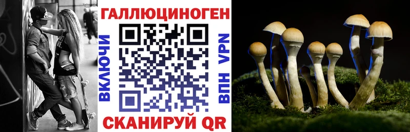 omg как зайти  Жуков  Галлюциногенные грибы GOLDEN TEACHER 